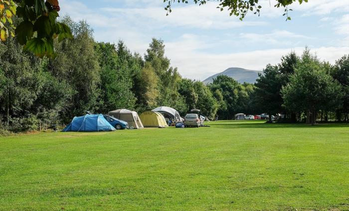 Lakeside Caravan Park - Elwyns camping field
